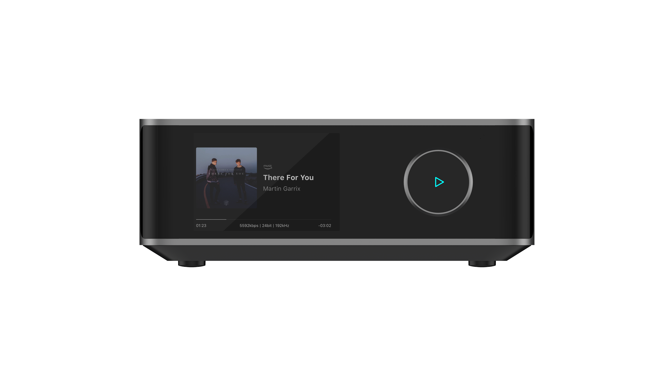 Wiim Amp Pro — Future Audio